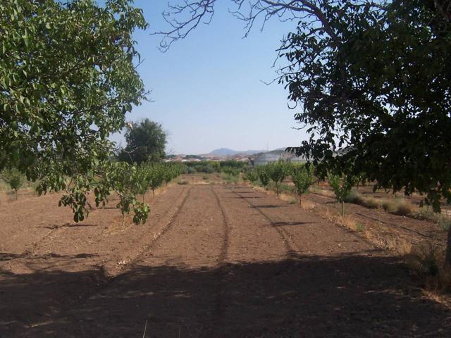 FINCA RUSTICA en Tobarra photo 0