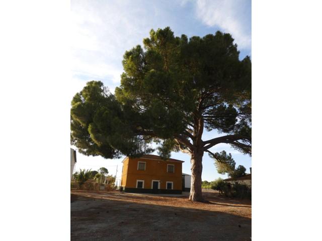 FINCA RUSTICA EN VENTA photo 0