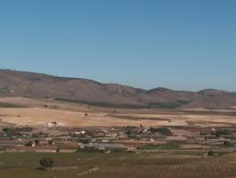 FINCA RIEGO PISTACHOS photo 0