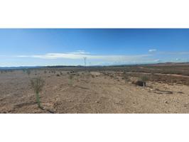 FINCA DE RIEGO EN VENTA EN ALBATANA photo 0