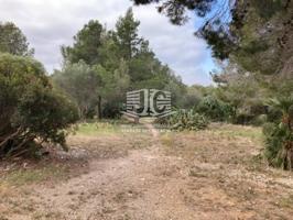 Venta de Suelo Urbanizable Residencial en Urbanización Polígono 16, Parcela 55, Plana Español, Mont-roig del Camp (Tarra photo 0