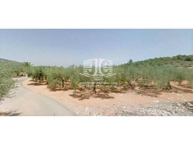 Finca rustica en venta en Freginals photo 0
