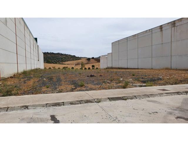 Colmenar, se vende terreno industrial photo 0