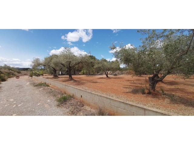 Finca rustica en Cervera del Maestre photo 0