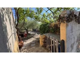 Finca agrícola con almacén en venta photo 0