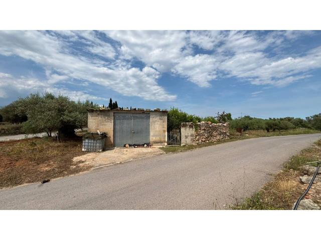 Finca agrícola con almacén en venta photo 0