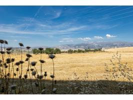 Terreno en venta en Aljomahima-Ermita Nuestra Señora de las Nieves photo 0