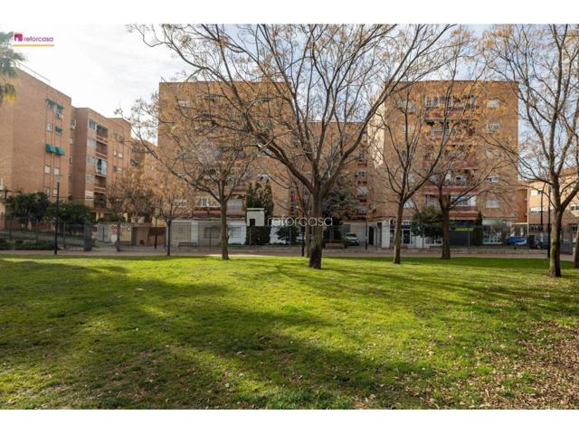 Piso en venta en Zaidín-Vergeles(18006) photo 0