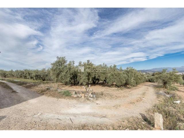 Terreno en venta en Albolote photo 0