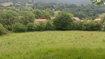 Finca urbana en venta en Coo - Los Corrales de Buelna photo 0
