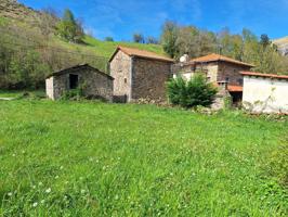 Casa de piedra con cabaña en venta en San Roque de Riomiera photo 0