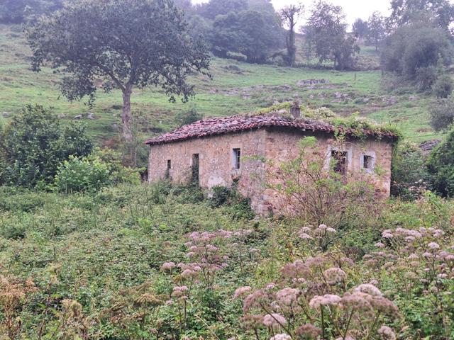 Terreno en venta con casa de piedra en Riaño, Solorzano photo 0