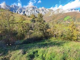 Terreno urbanizable en Liébana photo 0