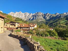 Casa de piedra y madera en venta en Picos de Europa photo 0