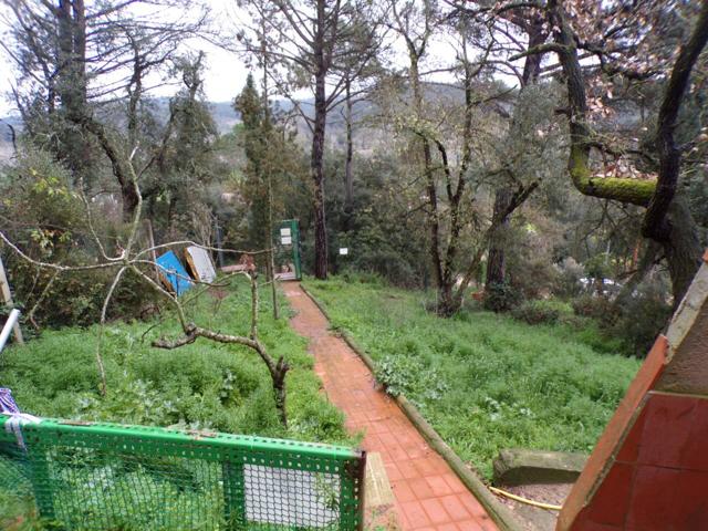 Terreno en venta en urbanización de Massanes photo 0