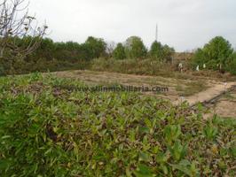 Finca rustica en venta photo 0