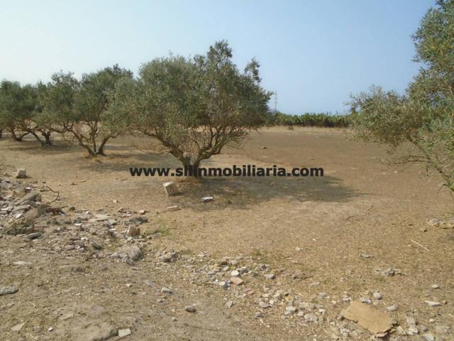 Finca rustica en venta photo 0