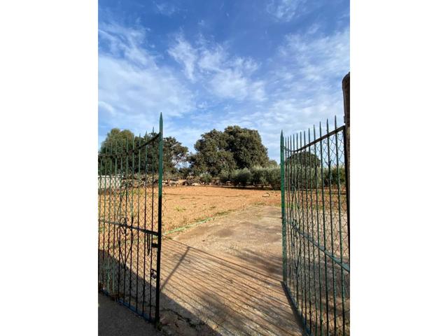 Terreno de 1.977m2 en venta en urbanización Son Llebre photo 0
