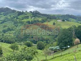 Finca rustica en venta en Zona Rural(33392) photo 0