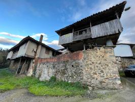 VENTA DE CASA EN MIRALLO DE ABAJO TINEO photo 0