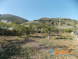 Terreno en venta en Ítrabo photo 0