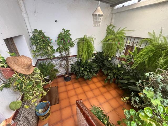 ACOGEDORA CASA EN PLANTA BAJA EN EL PALMARILLO photo 0