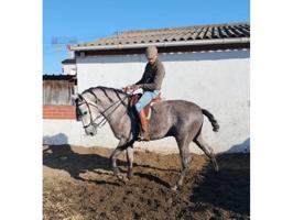 Piso En venta en Bonaterra, Albinyana photo 0