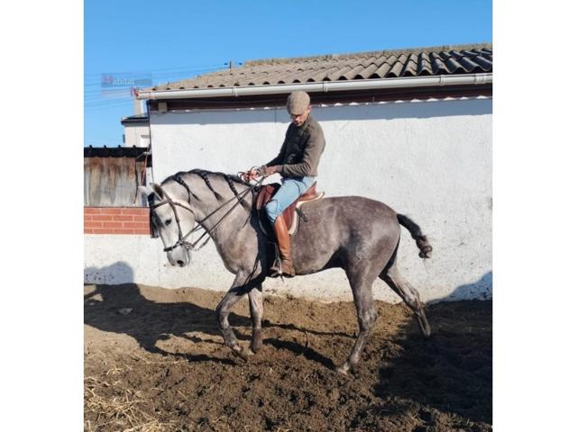 Piso En venta en Bonaterra, Albinyana photo 0