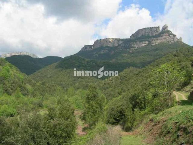 FINCA RUSTICA DE 135 HECTAREAS EN RUPIT. photo 0