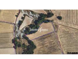 TERRENO DE CULTIVO EN VENTA photo 0