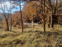 Parcel.la en venta en Montbau(08035) photo 0