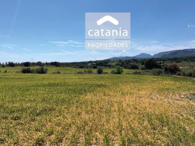 En venta Finca Rústica de 7 hectáreas photo 0
