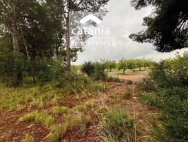 Venta de finca rústica en Mont-roig del Camp photo 0