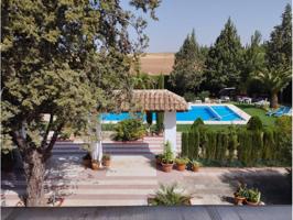 Chalet rustico en venta en Pozuelo de Calatrava photo 0