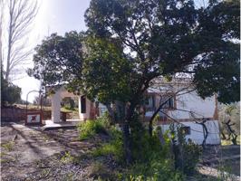 Finca rustica en venta en Piedrabuena(13100) photo 0