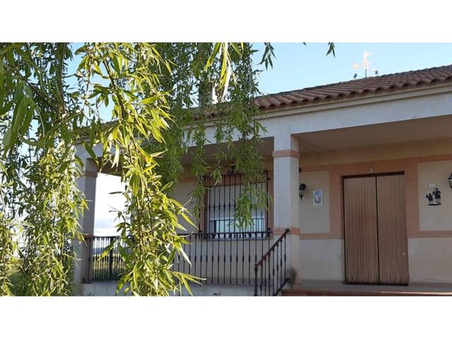 Chalet rustico en venta en Calzada de Calatrava photo 0