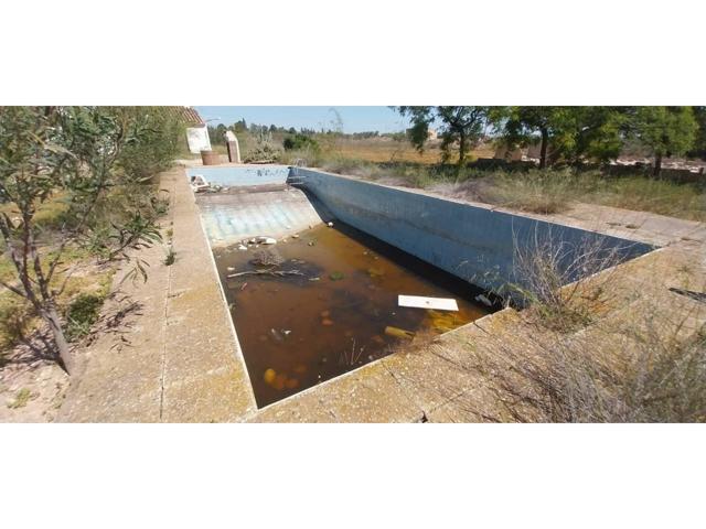 Venta de una casa en Fuente Álamo de Murcia photo 0