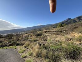 Paraíso Rural en Arafo: 2.080 m² Fértiles con Vistas Únicas photo 0