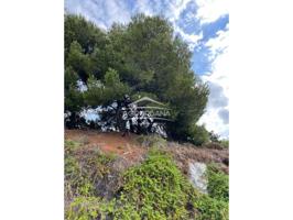 Finca rustica con cortijo photo 0