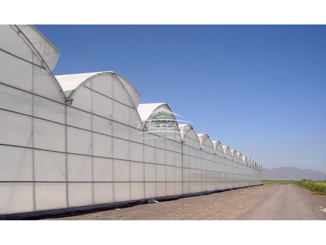 Invernaderos en venta photo 0