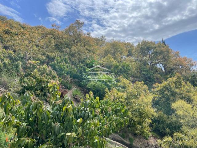 Finca rustica en venta. photo 0