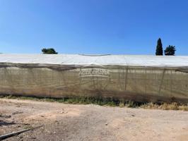 Finca en venta. photo 0