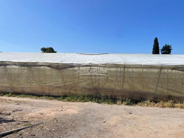 Finca en venta. photo 0
