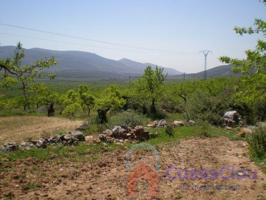 Terreno Urbanizable En venta en Cami La Punta, Mas Nou, Culla photo 0