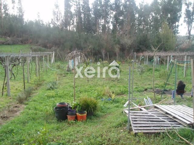 FINCA RUSTICA en venta photo 0