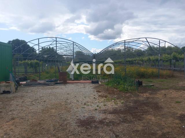 FINCA RUSTICA EN VENTA photo 0