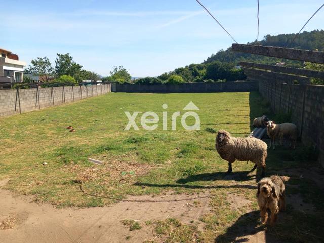 VENTA DE FINCA RUSTICA photo 0