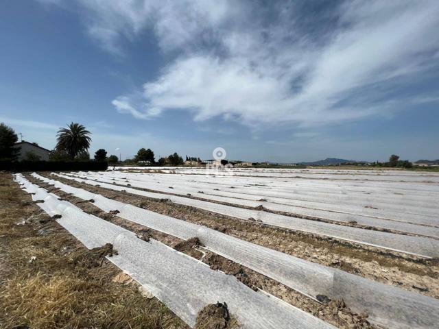 Terreno en venta en La Hoya-Almendricos-Purias photo 0