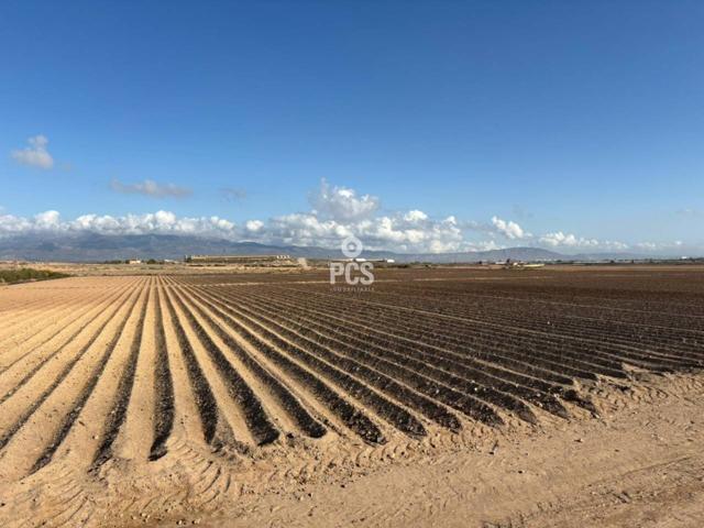 Venta de terreno en Totana photo 0