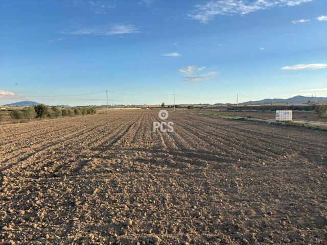 Terreno en venta en Totana photo 0